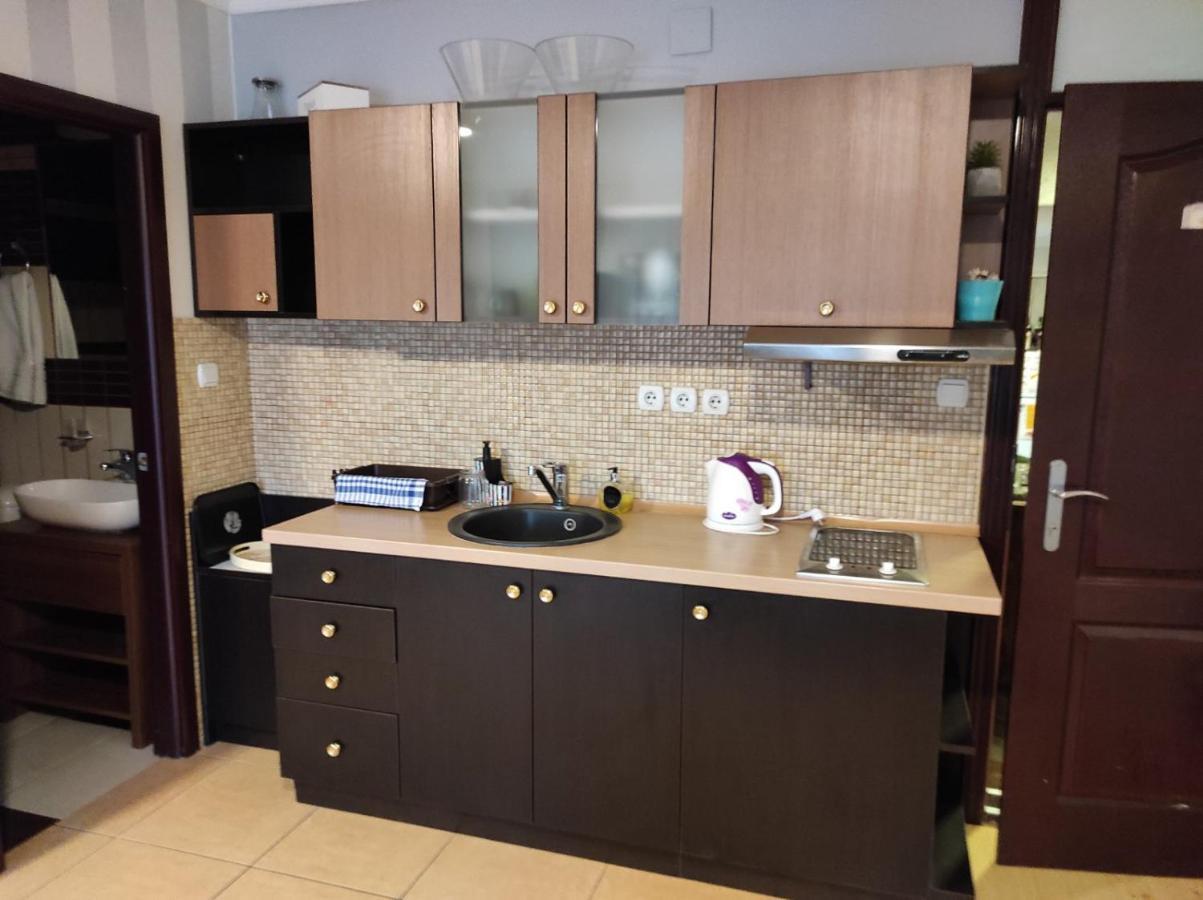 Vila Mila Riverside Apartments Smederevo Buitenkant foto