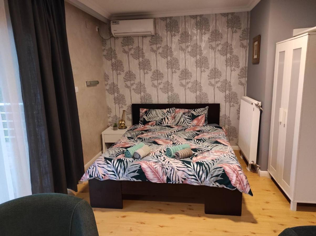 Vila Mila Riverside Apartments Smederevo Buitenkant foto